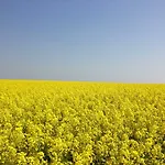 Apartmán Krystyna - Energylandia, Spytkowice, Zator *