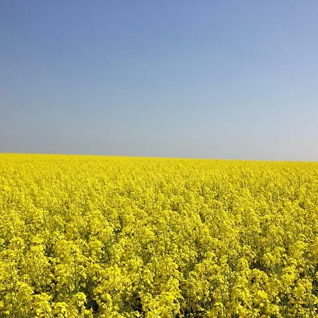 公寓 Krystyna - Energylandia, Spytkowice, Zator *